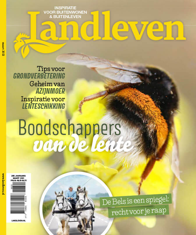 Landleven